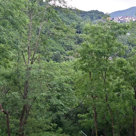 Semivillage Гостевой дом