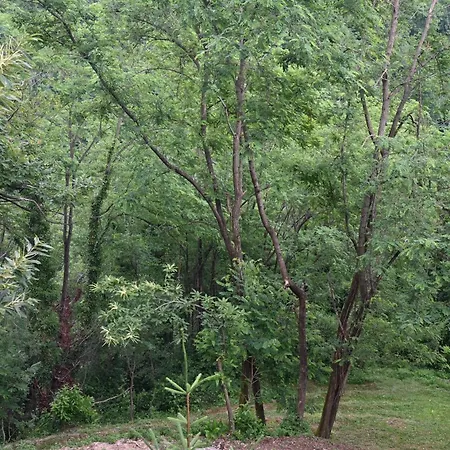 Semivillage * La Lima