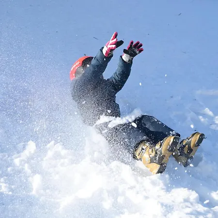 Casa de hóspedes Semivillage *